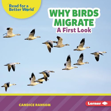 Why Birds Migrate: A First Look by Candice Ransom 9798348039578