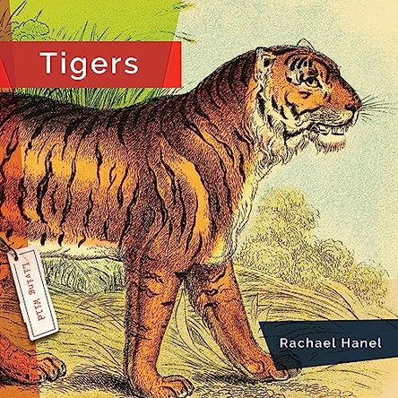 Tigers by Rachael Hanel 9781682770887