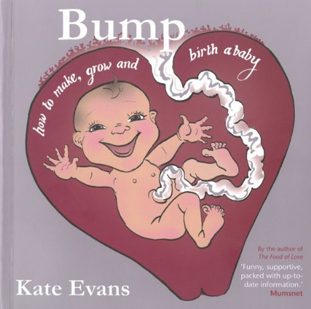 Bump: How to Make, Grow and Birth a Baby by Kate Evans 9781908434357 [USED COPY]