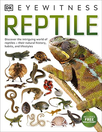 Reptile by DK 9780241297162 [USED COPY]