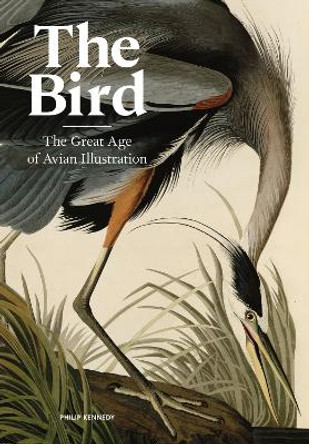 The Bird: The Great Age of Avian Illustration by Philip Kennedy