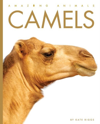 Camels by Kate Riggs 9781682770962