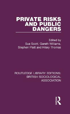 Private Risks and Public Dangers by Stephen Platt