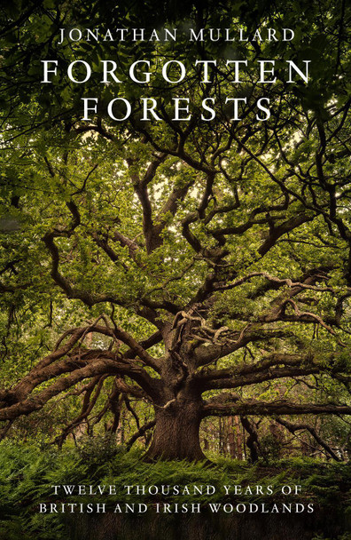 Forgotten Forests by Jonathan Mullard 9780008561048