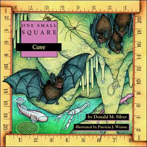 Cave by Donald M. Silver 9780070579293