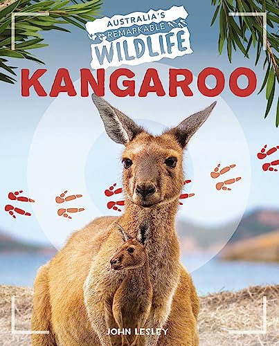 Kangaroo by John Lesley 9781761400148
