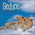 100 Kitsch Tips: Seduce 9781840725223