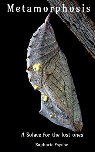 Metamorphosis by Euphoric Psyche 9781647601539
