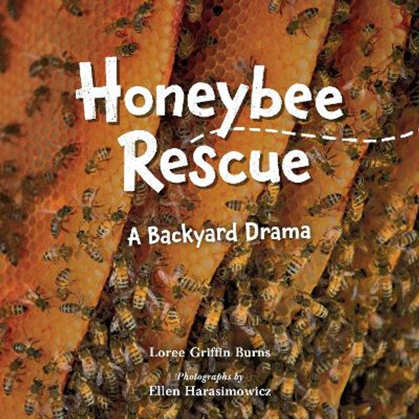 Honeybee Rescue: A Backyard Drama by Loree Burns