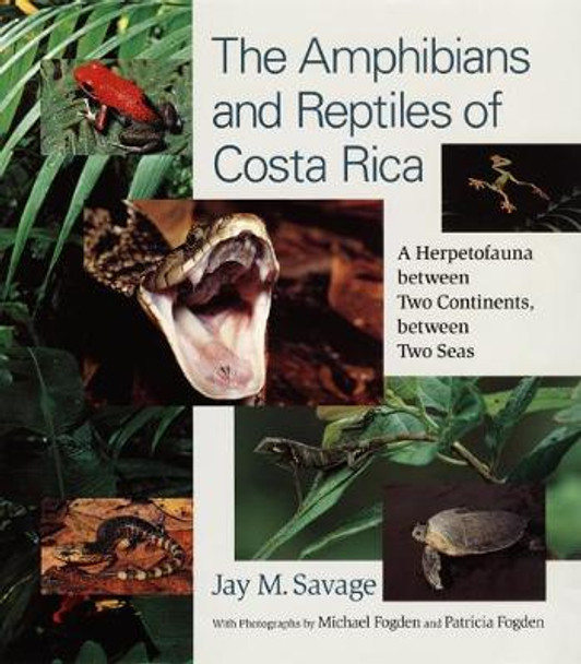 The Amphibians and Reptiles of Costa Rica: A Herpetofauna Between Two Continents, Between Two Seas by Jay M. Savage