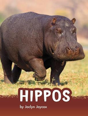 Hippos by Jaclyn Jaycox