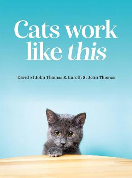 Cats Work Like This by David St John Thomas