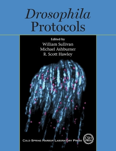Drosophila Protocols by W Sullivan 9780879698270