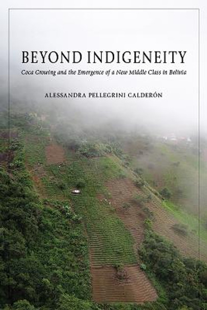 Beyond Indigeneity: Growing and the Emergence of a New Middle Class in Bolivia by Alessandra Pellegrini Calderón