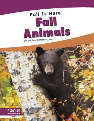 Fall Animals by Sophie Geister-Jones