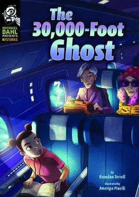 The 30,000-Foot Ghost by Brandon Terrell