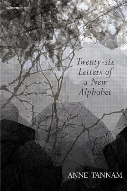 Twenty-six Letters of a New Alphabet by Anne Tannam