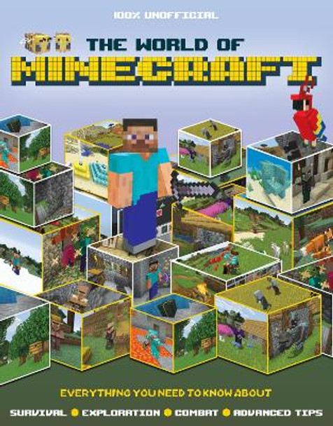 The World of Minecraft by James Hunt