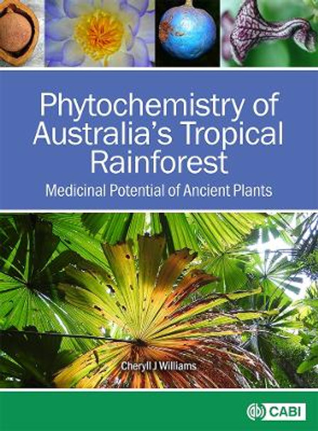 Phytochemistry of Australia's Tropical Rainforest: Medicinal Potential of Ancient Plants by Dr Cheryll J Williams