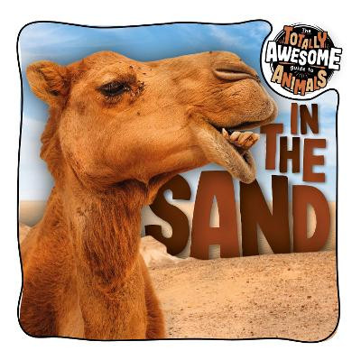 In the Sand by Brenda McHale