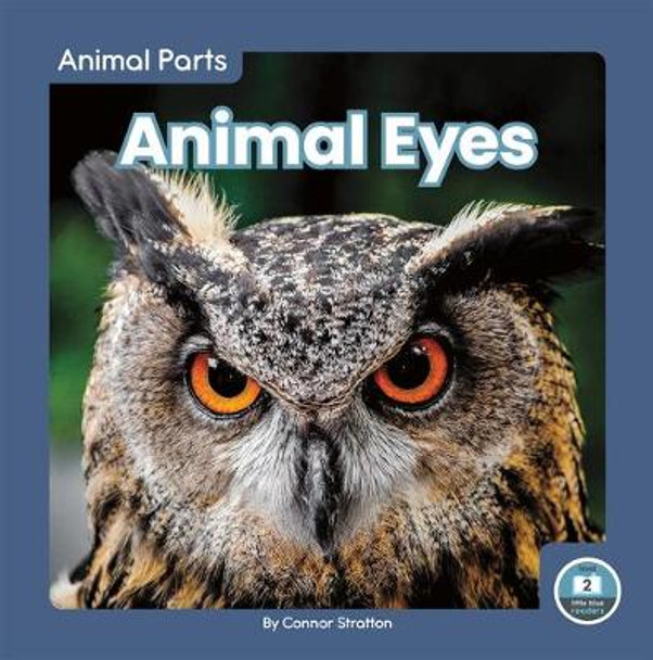 Animal Eyes by Connor Stratton