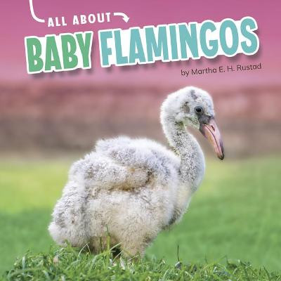All about Baby Flamingos by Martha E H Rustad