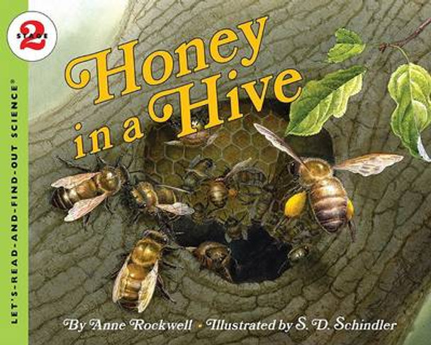Honey In A Hive by Anne Rockwell