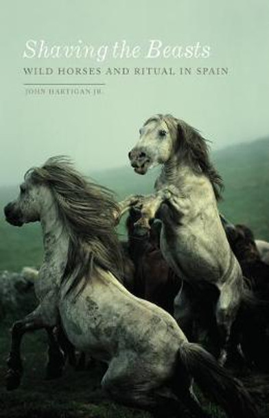 Shaving the Beasts: Wild Horses and Ritual in Spain by John Hartigan Jr.