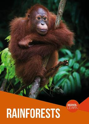 Rainforests by Joanna Brundle