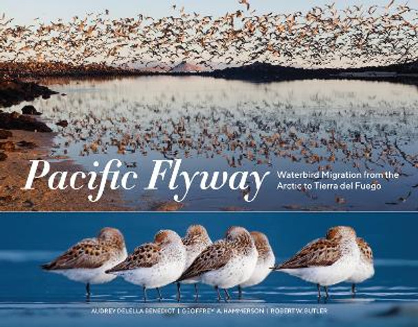 Pacific Flyway: Waterbird Migration from the Arctic to Tierra del Fuego by Audrey Delella Benedict