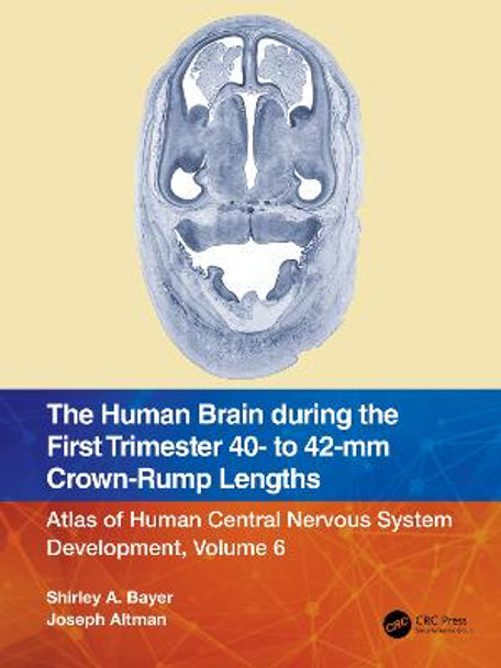 The Human Brain during the First Trimester 40- to 42-mm Crown-Rump Lengths: Atlas of Human Central Nervous System Development, Volume 6 by Shirley A. Bayer