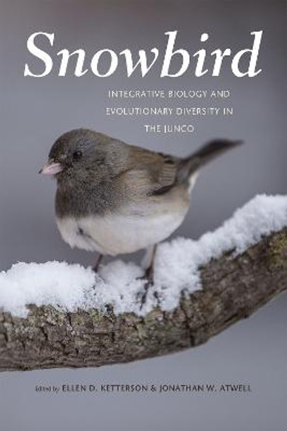 Snowbird: Integrative Biology and Evolutionary Diversity in the Junco by Ellen D. Ketterson