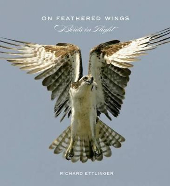 On Feathered Wings by Richard Ettlinger
