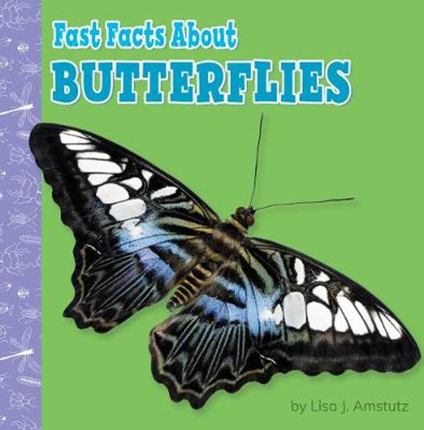 Butterflies by Lisa J Amstutz