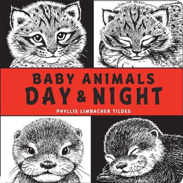 Baby Animals Day & Night by Phyllis Limbacher Tildes