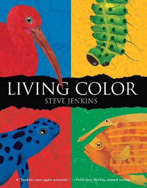 Living Color by Steve Jenkins