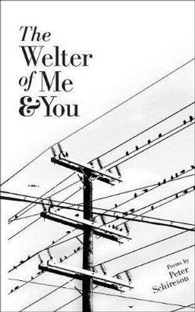 The Welter of Me and You by Peter Schireson