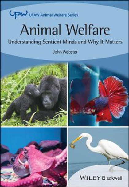 Animal Welfare: Understanding Sentient Minds and W hy It Matters by JG Webster