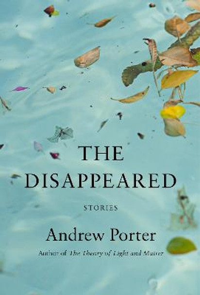 The Disappeared: Stories by Andrew Porter