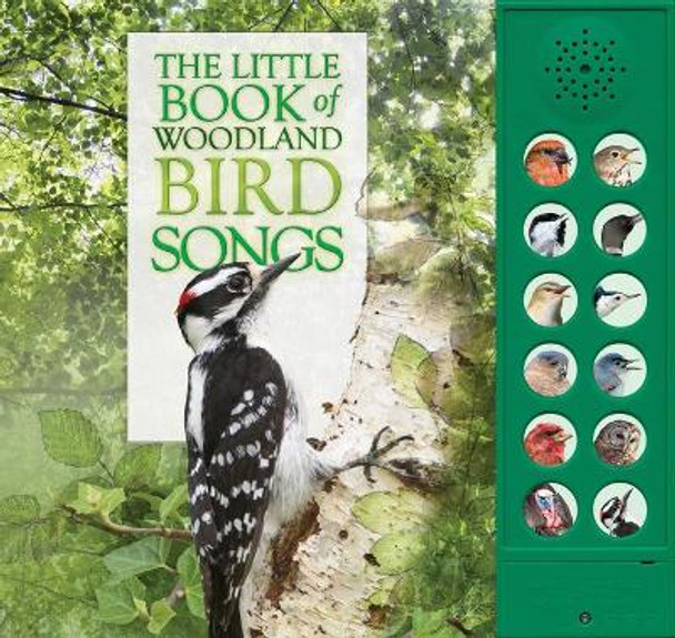 The Little Book of Woodland Bird Songs by Andrea Pinnington