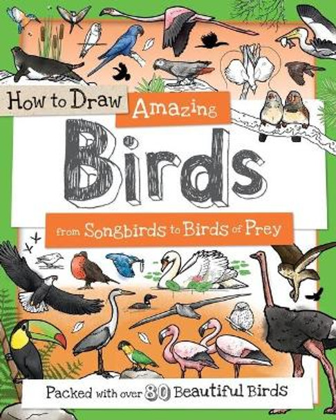 How to Draw Amazing Birds: From Songbirds to Birds of Prey by Fiona Gowen