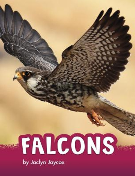 Falcons by Jaclyn Jaycox