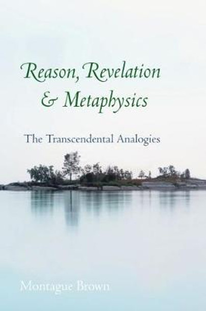 Reason, Revelation, and Metaphysics: The Transcendental Analogies by Montague Brown