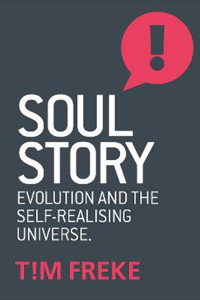 Soul Story by Tim Freke