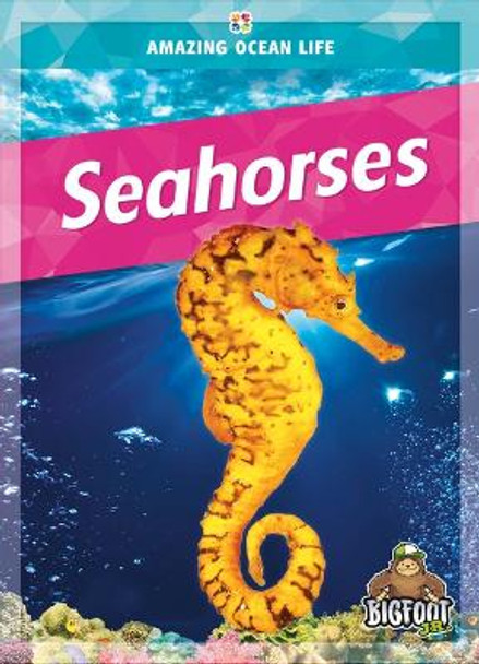 Seahorses by Colleen Sexton