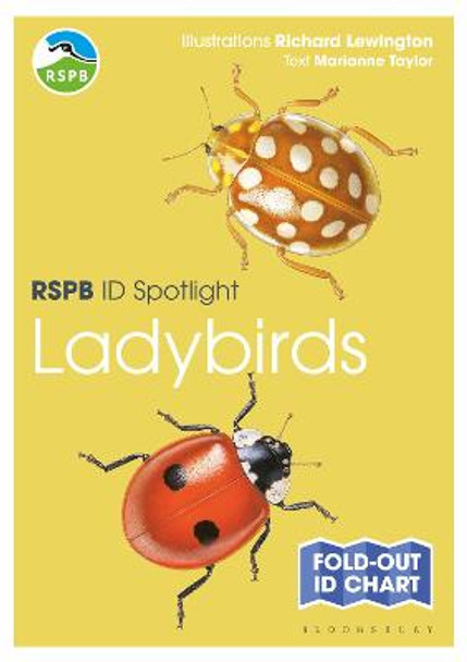 RSPB ID Spotlight - Ladybirds by Marianne Taylor