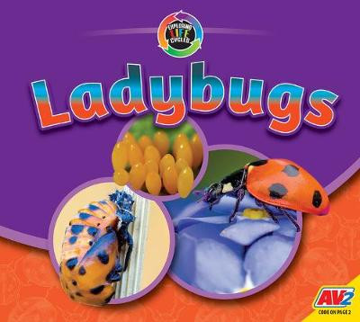 Ladybugs by Aaron Carr