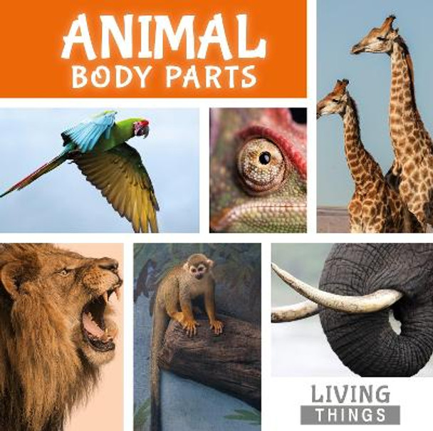 Animal Body Parts by Steffi Cavell-Clarke