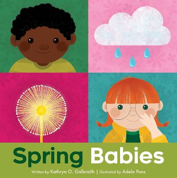 Spring Babies by Kathryn O Galbraith