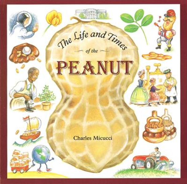 Life and Times of the Peanut by Charles Micucci